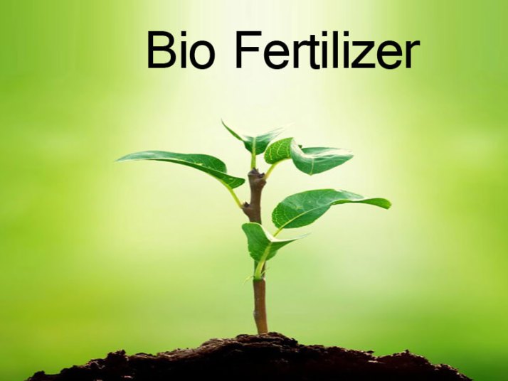 What Is Biofertilizer Benefits Of Bio Fertilizers