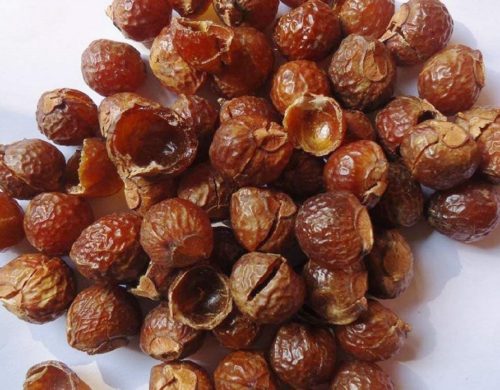 Reetha (Soap Nut): Wonderful Benefits & Uses for Hair and skin