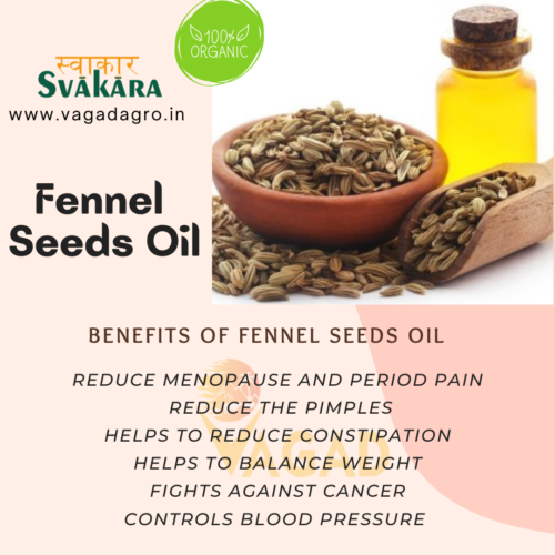 BenefitS Of Fennel Seeds Oil
