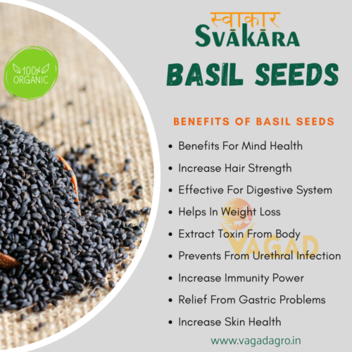 9 Health Benefits Of Basil Seeds (Sabja Seeds)