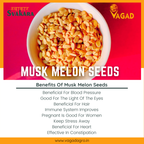 Benefits Of Musk Melon Seeds