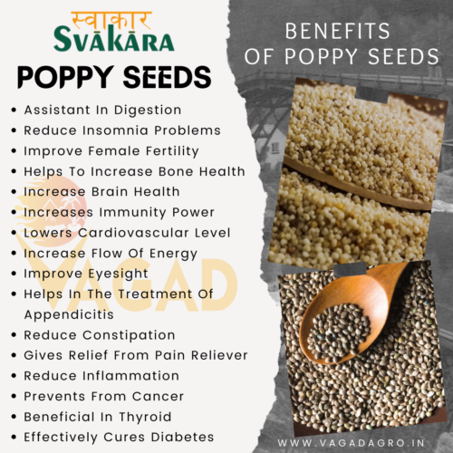 poppy seeds benefits        <h3 class=