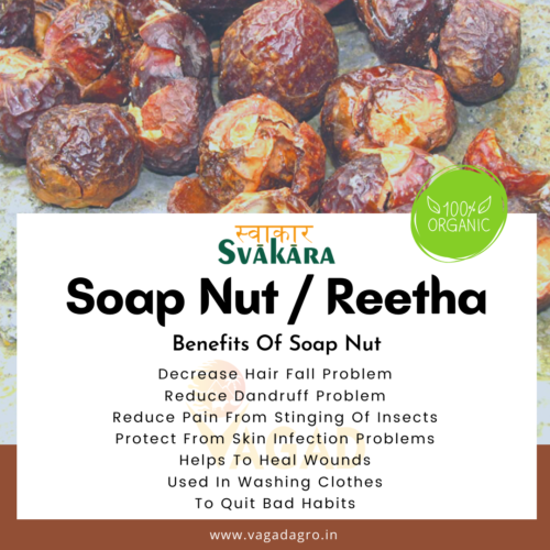 Benefits Of Reetha - Soap Nut - Vagad Agro Services