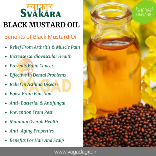 Benefits of Black Mustard