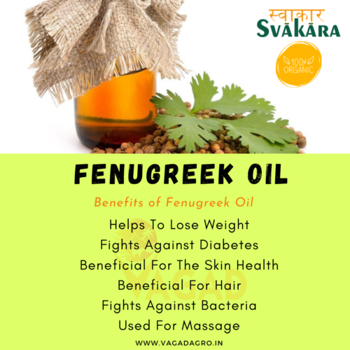 Benefits of Fenugreek Oil - Vagad Agro Services