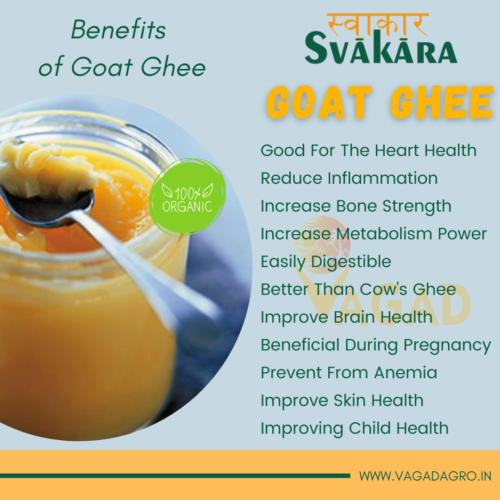 Benefits of Goat Ghee