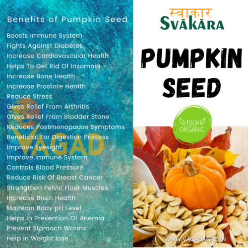Benefits of Pumpkin Seed