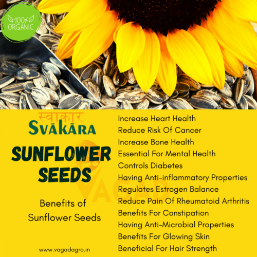Benefits of Sunflower Seeds - Vagad Agro Services