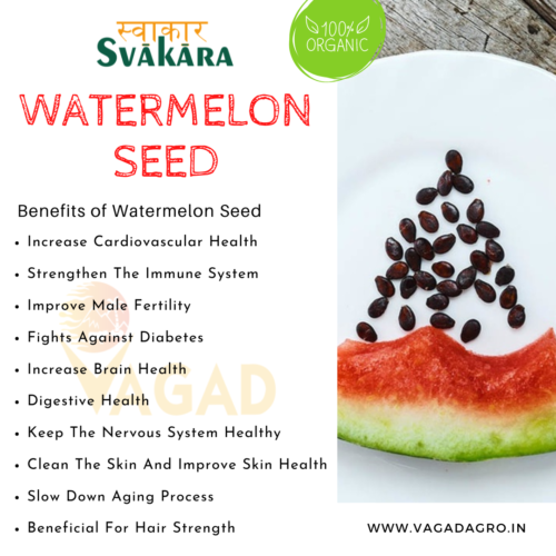 Benefits of Watermelon Seed