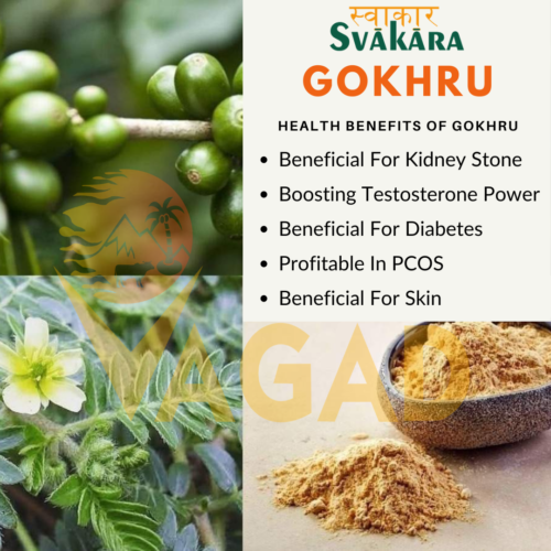 Health Benefits Of Gokhru