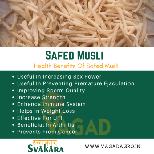 Health Benefits Of Safed Musli
