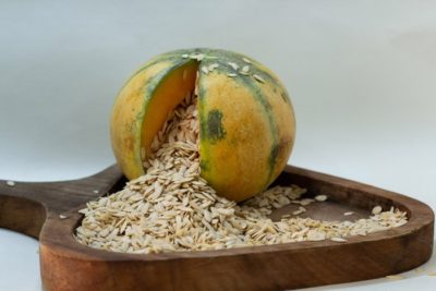 Musk Melon Seeds