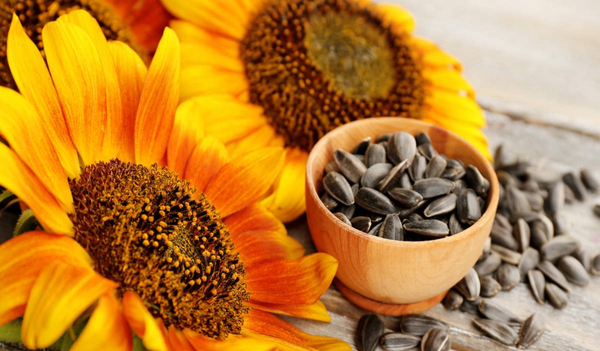 14 Amazing Health Benefits of Sunflower Seeds