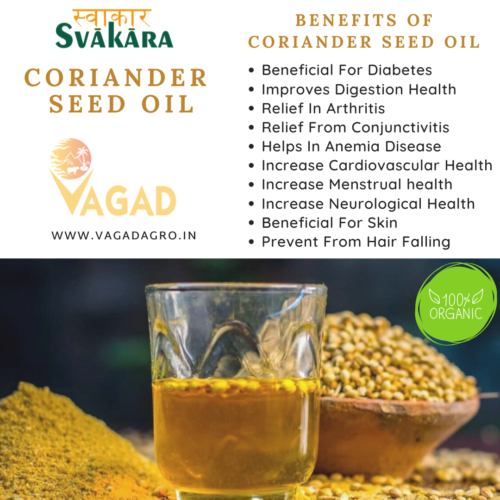 Health Benefits Of Coriander Seed Oil - Vagad Agro Services