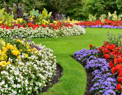 Gardening – The Concept, Different Concepts of Gardening