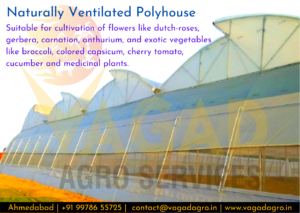 Naturally Ventilated Polyhouse
