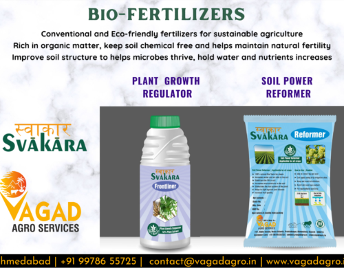 Types of Biofertilizers, Advantages and Usages