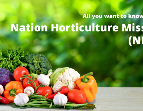 National Horticulture Mission (NHM), How it works for farmers in India