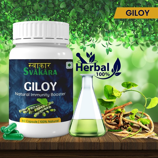 GILOY Herbal Extract