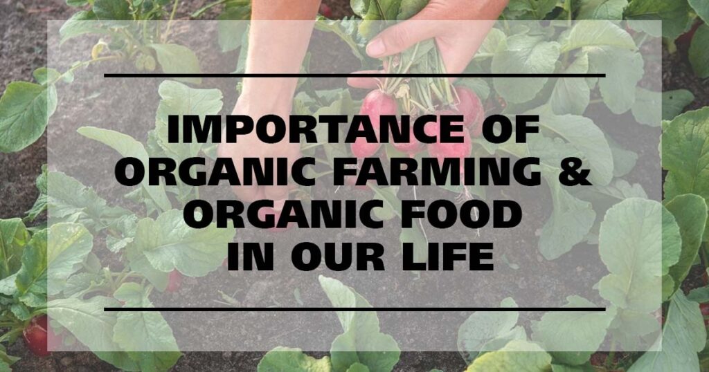 Importance of Organic farming