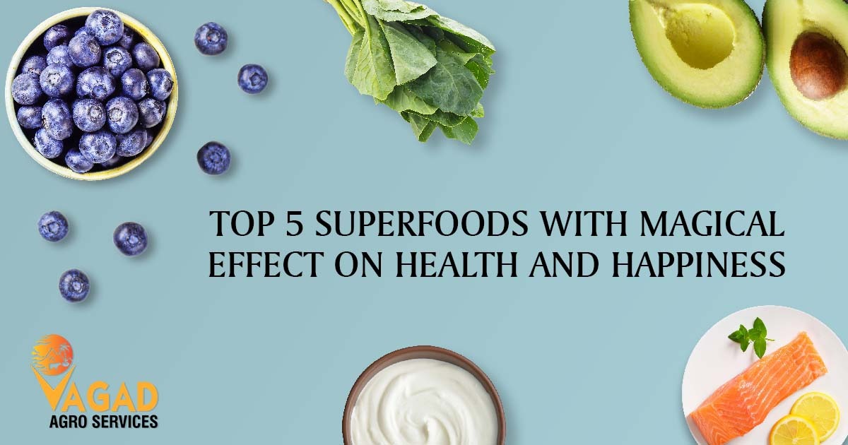 Top 5 Superfoods magical effect on Health and Happiness