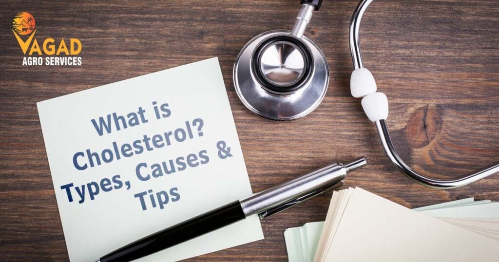 What is Cholesterol Types Causes and Tips