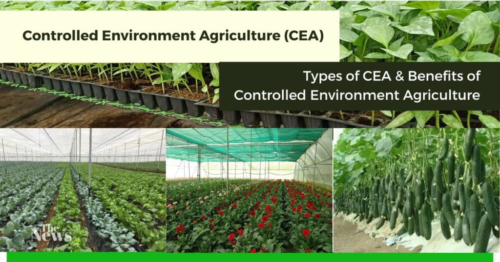 Controlled Environment Agriculture (CEA)