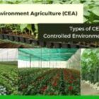 Controlled Environment Agriculture: Benefits and Types of CEA
