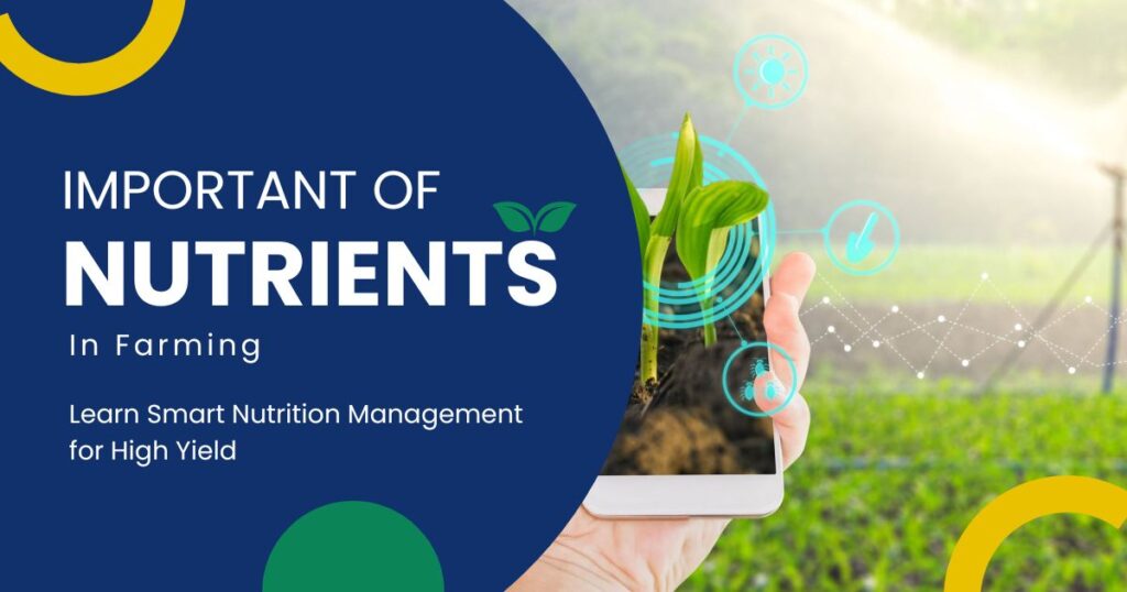 Importance of nutrient in farming