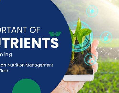 Important of Nutrients in Farming, Smart Nutrition Management for High Yield
