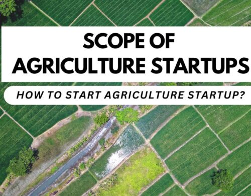 Scope of Agriculture Startups, How to Start Agriculture Startup?