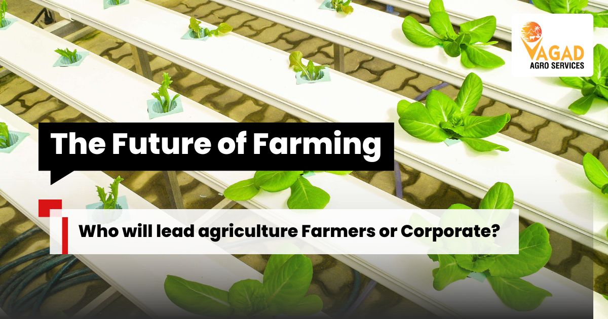 The Future Of Farming: Who Will Lead Agriculture Farmers Or Corporate?