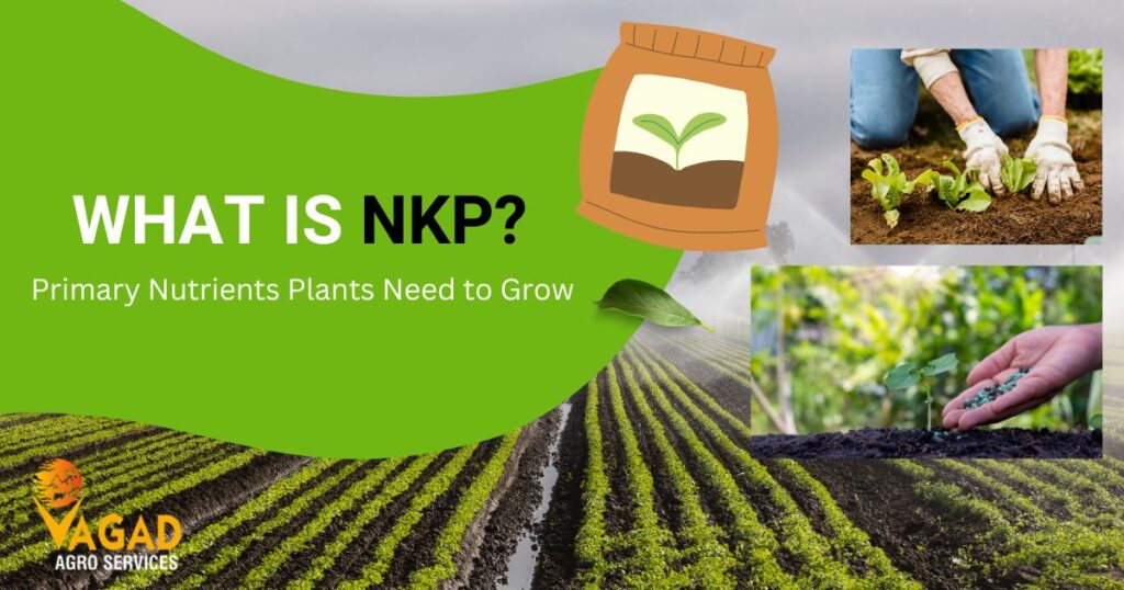 What is NPK